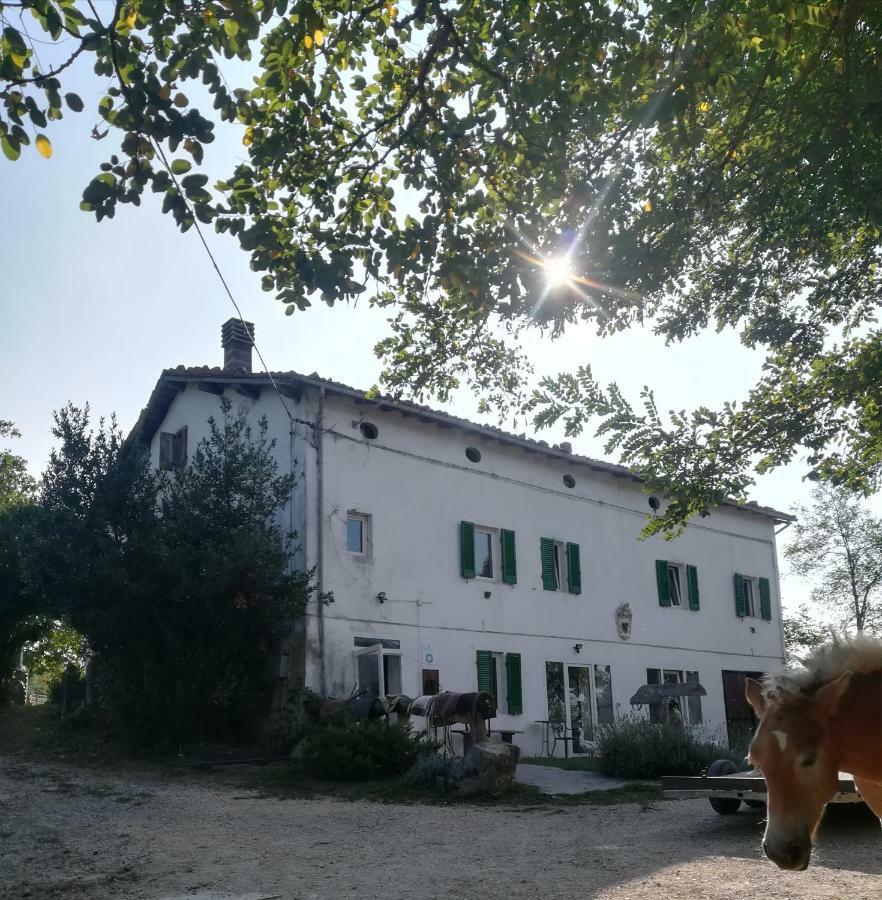 Bed and Breakfast Monte Termine Country House Rioveggio Exterior foto